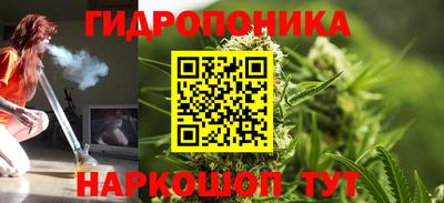 прущие грибы Янаул