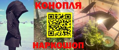 сатива Ярцево