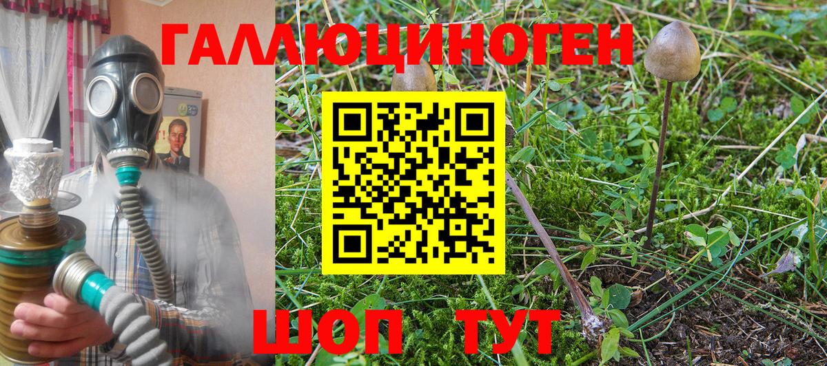 Псилоцибиновые грибы мицелий Черногорск